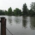 Szarvas 025